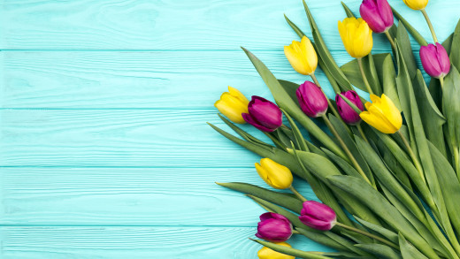 1477646 (a): :2560x1440